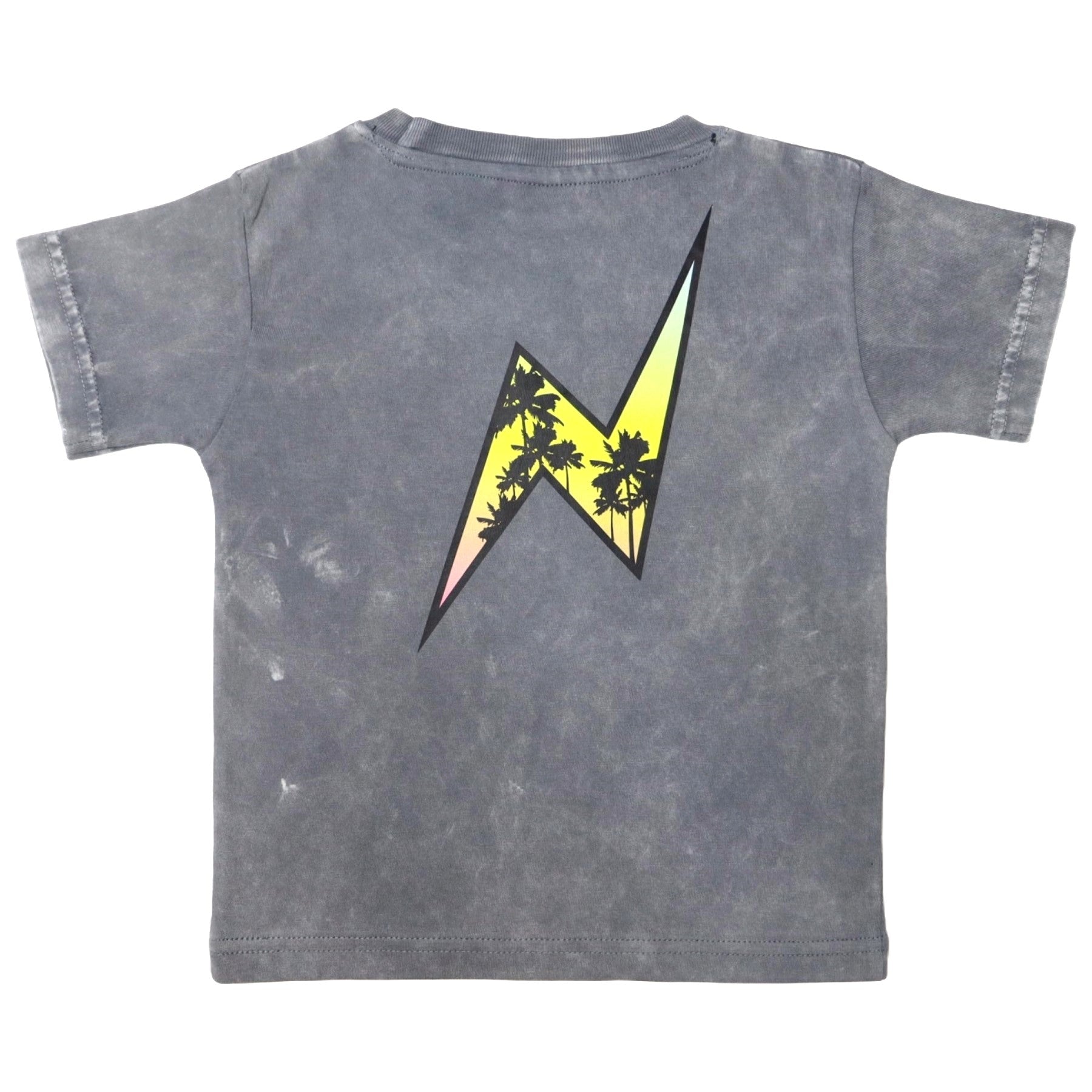 Kids Short Sleeve Enzyme Tee - Palm Bolt